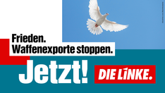 7557_LINKE_PV_BTW21_SoMe_Themenplakate_1920x10803.png